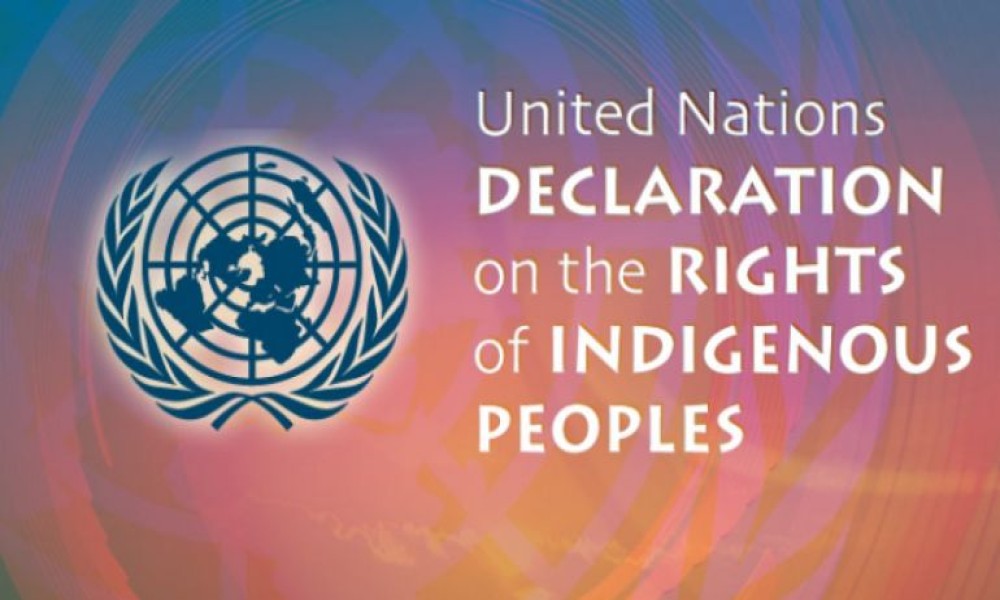 Marking 12 Years of the UN Declaration on the Rights of Indigenous Peoples
