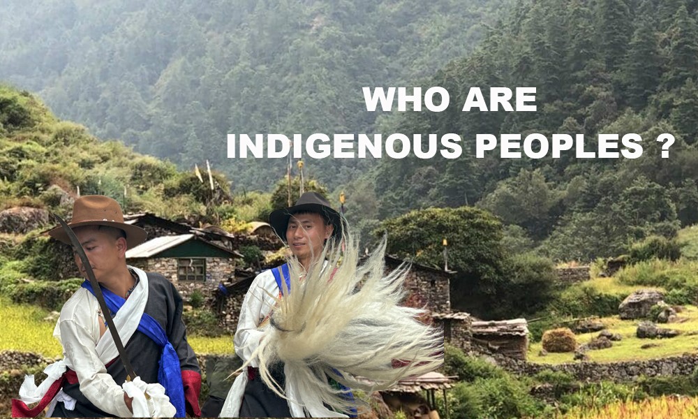 Who are the Indigenous Peoples?