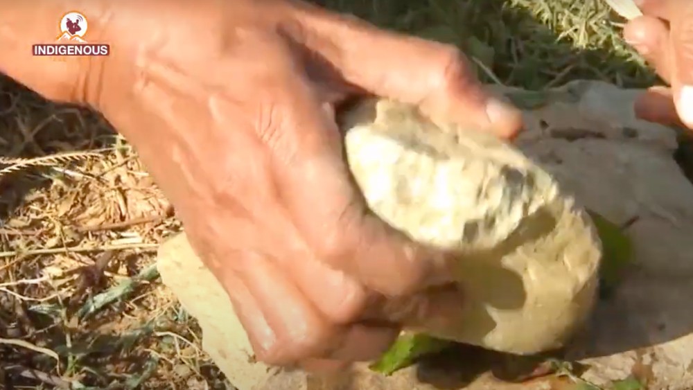 Indigenous Voice weekly bulletin November 23 2023